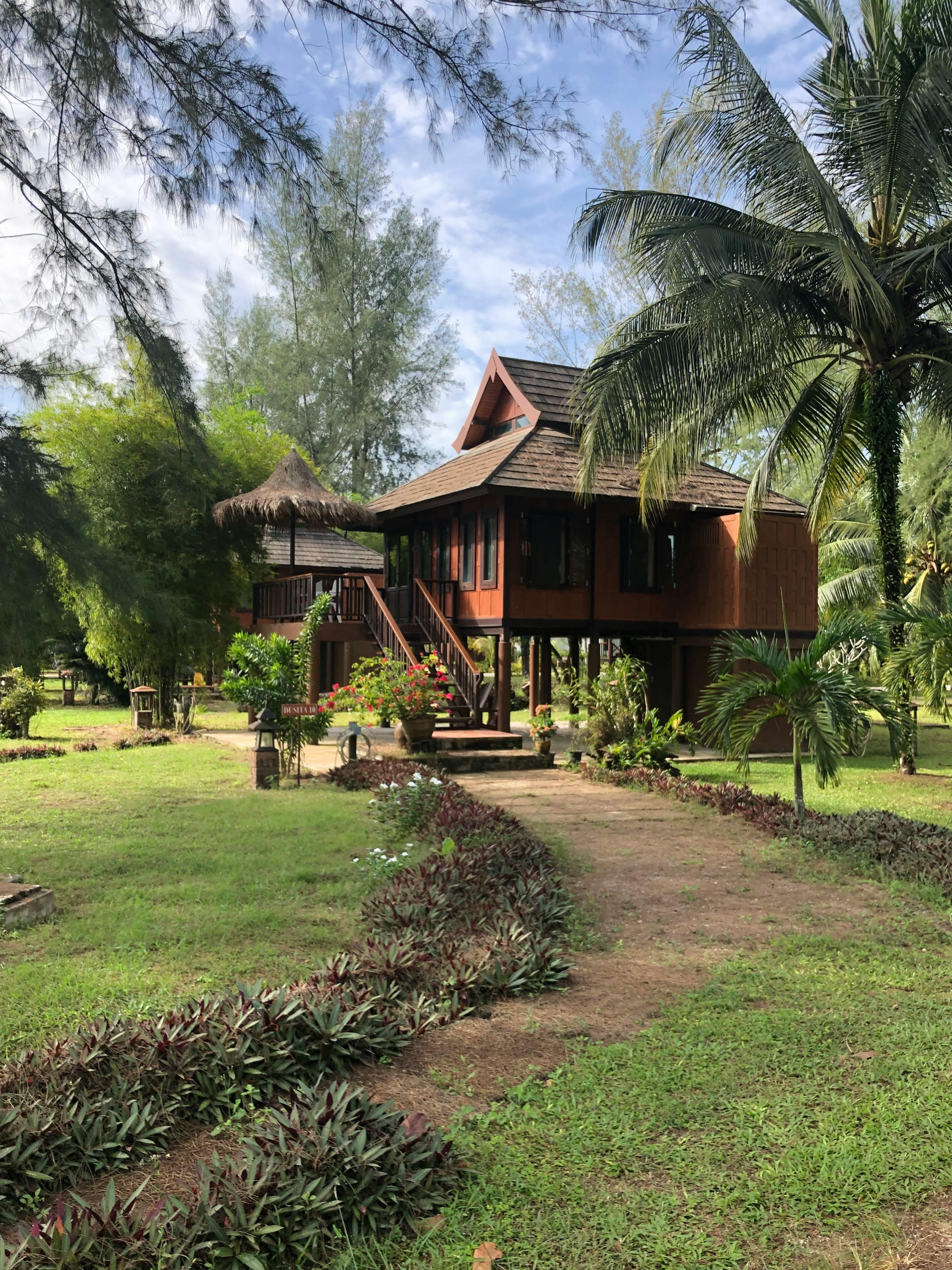 Cabaña elevada en madera, rodeada de palmeras y vegetación tropical.